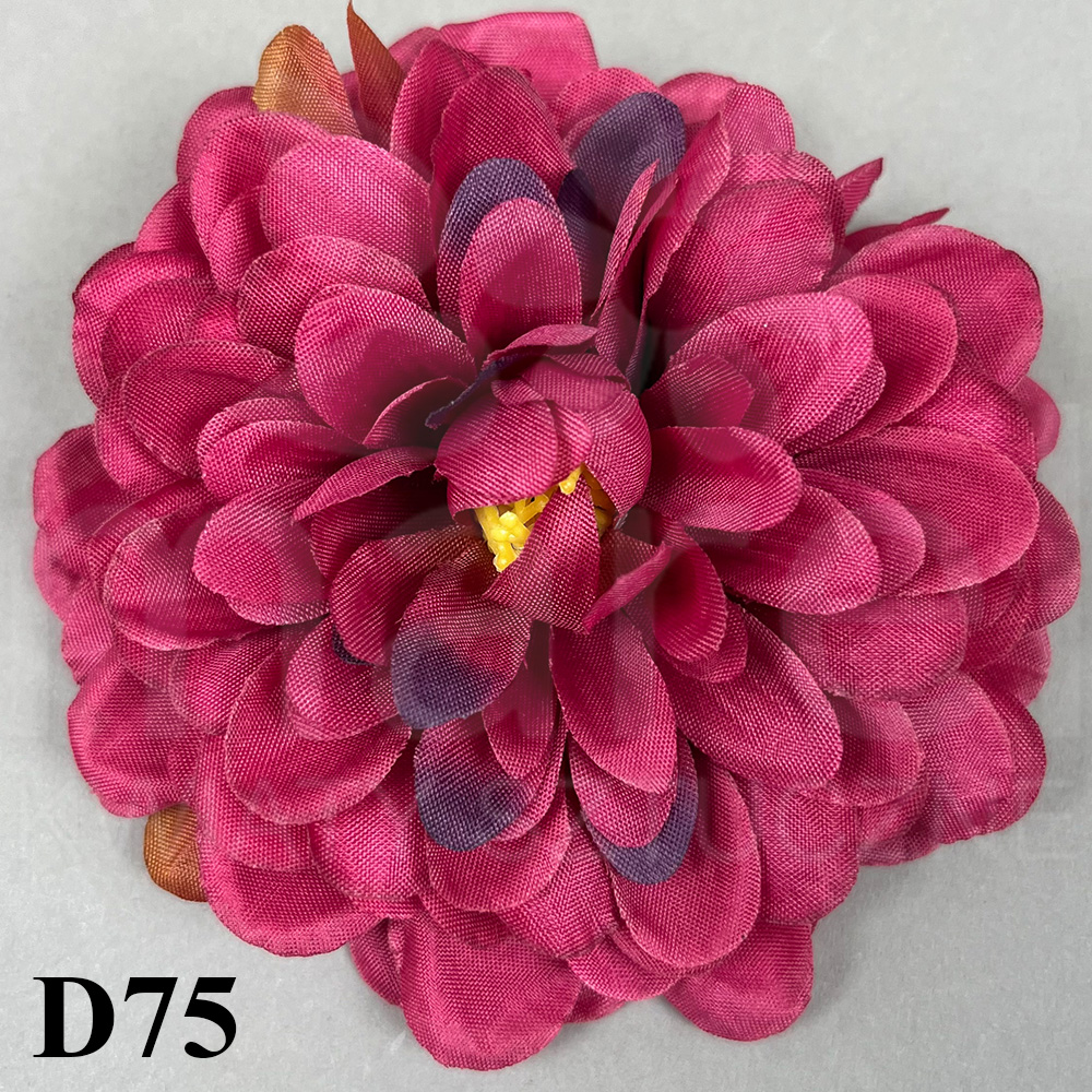D75.jpg