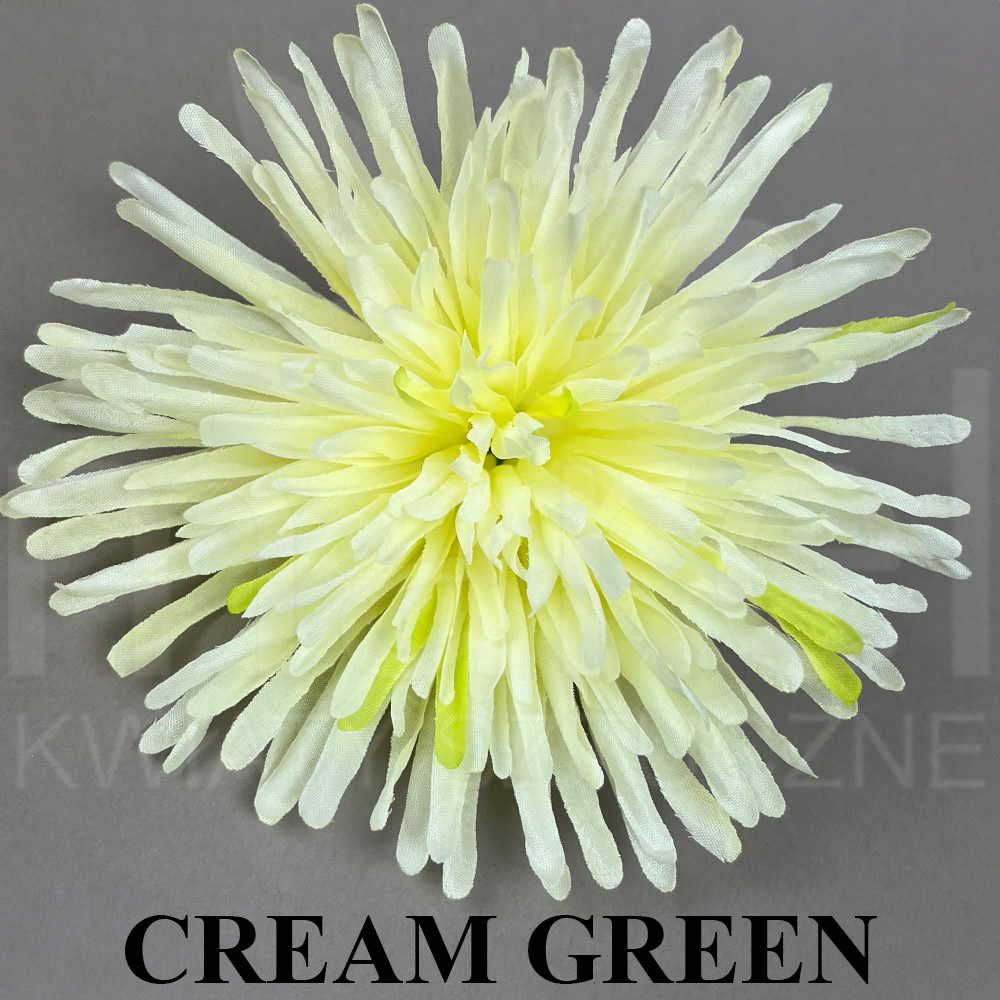 CREAM GREEN.jpg