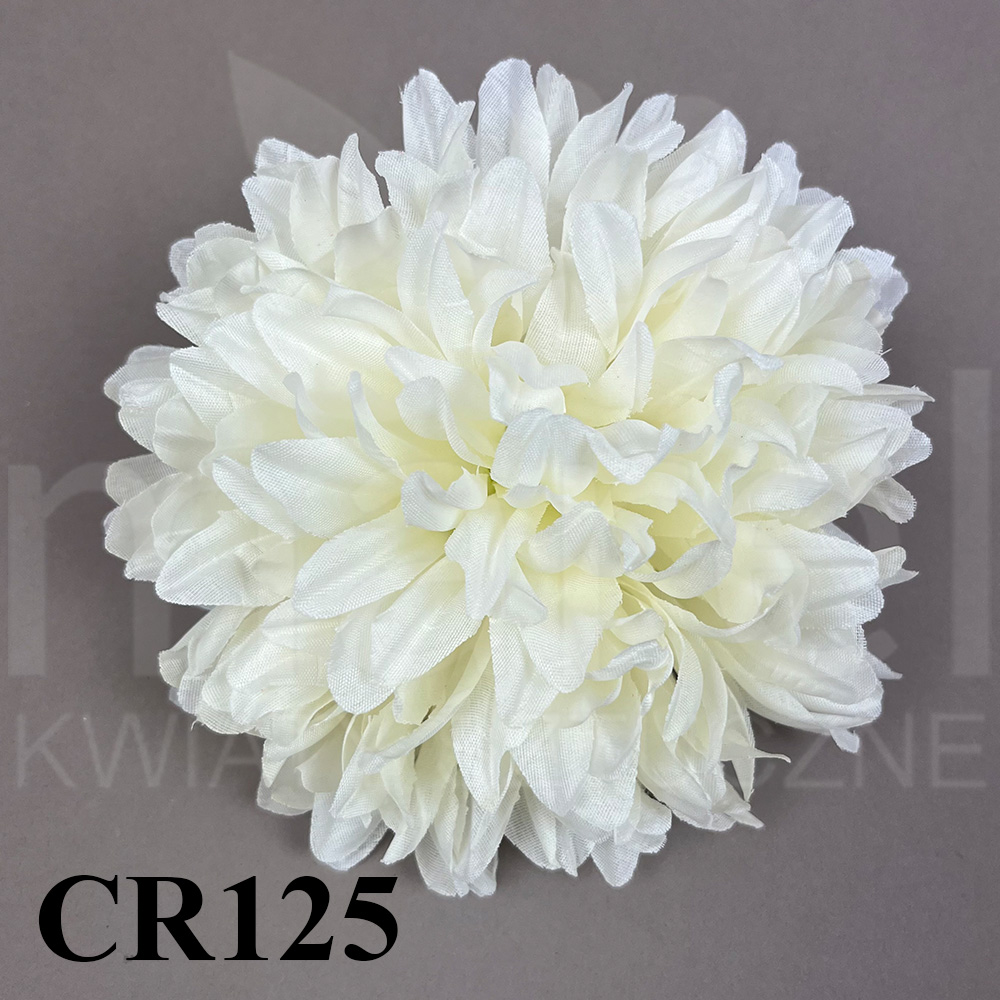 CR125.jpg