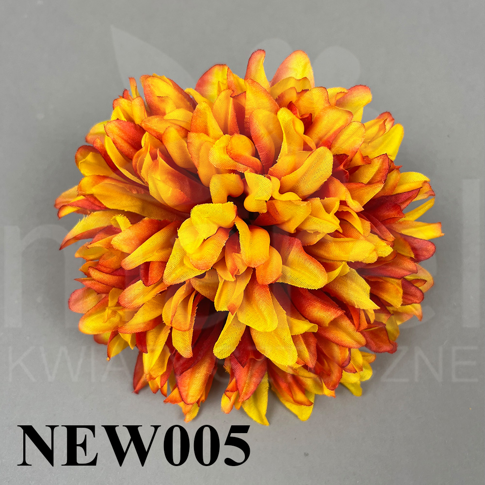 NEW005.jpg
