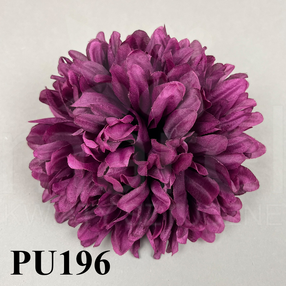 PU196.jpg