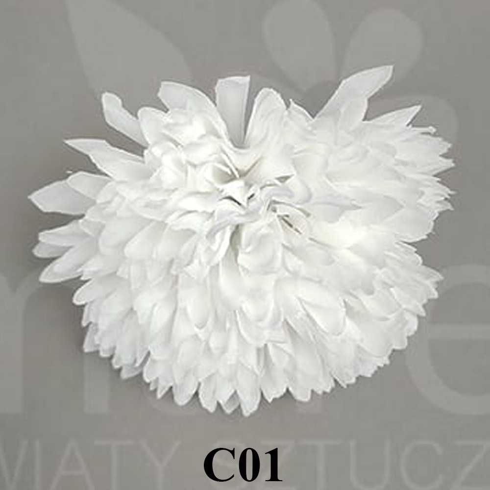 C01.jpg