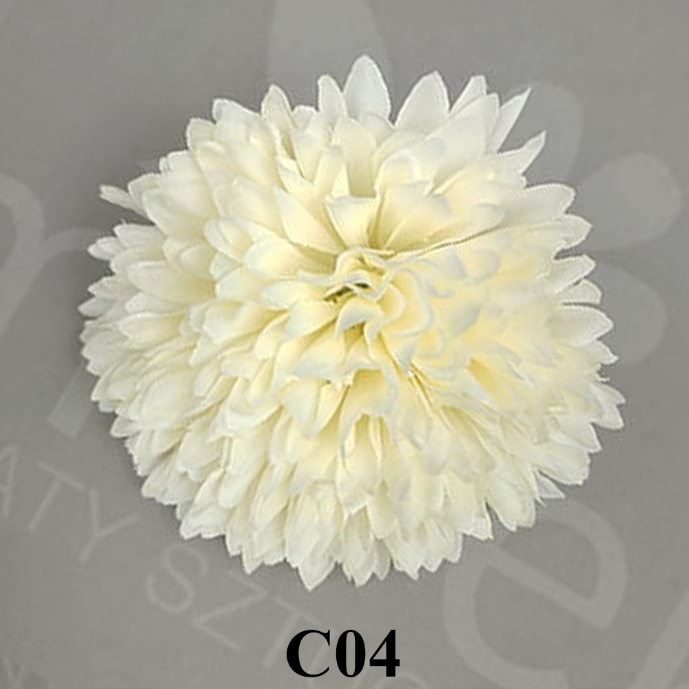C04.jpg