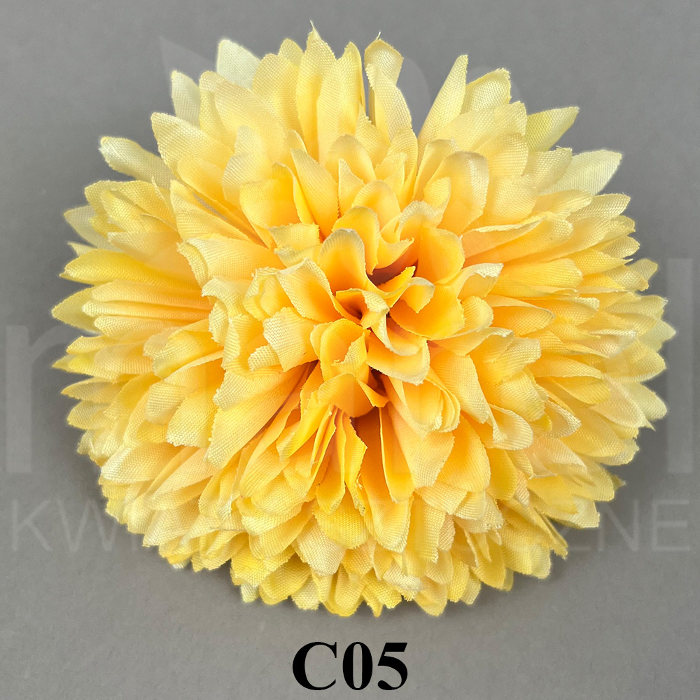 C05.jpg