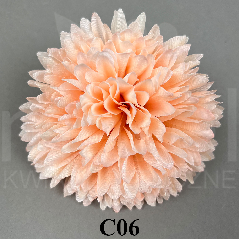 C06.jpg