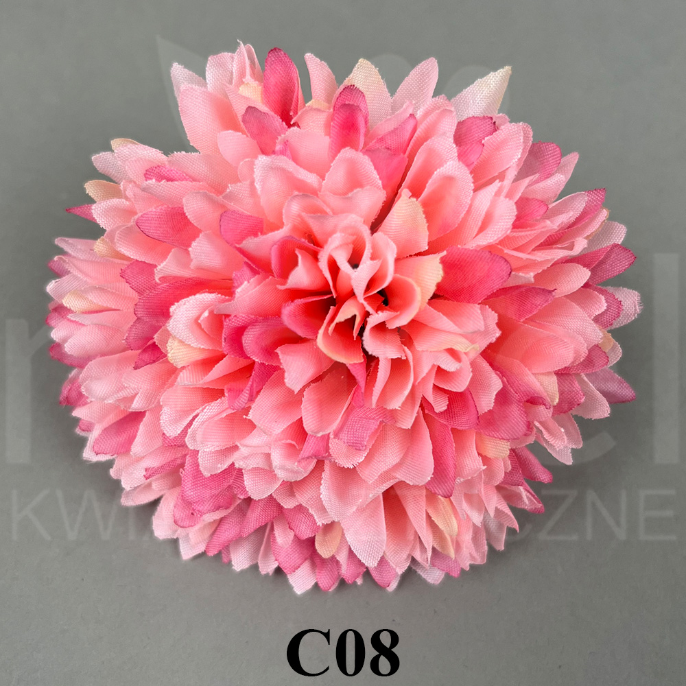 C08.jpg