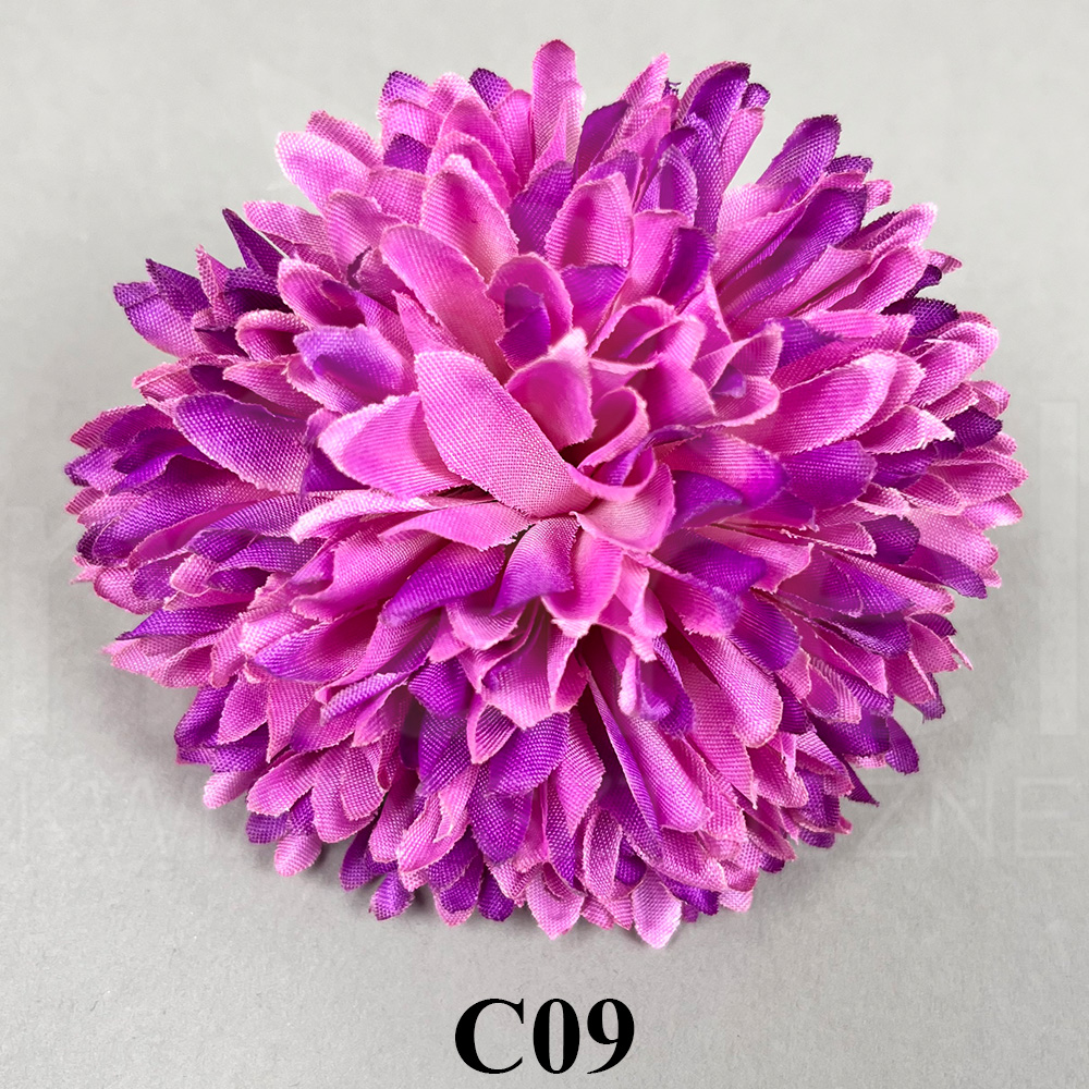 C09.jpg