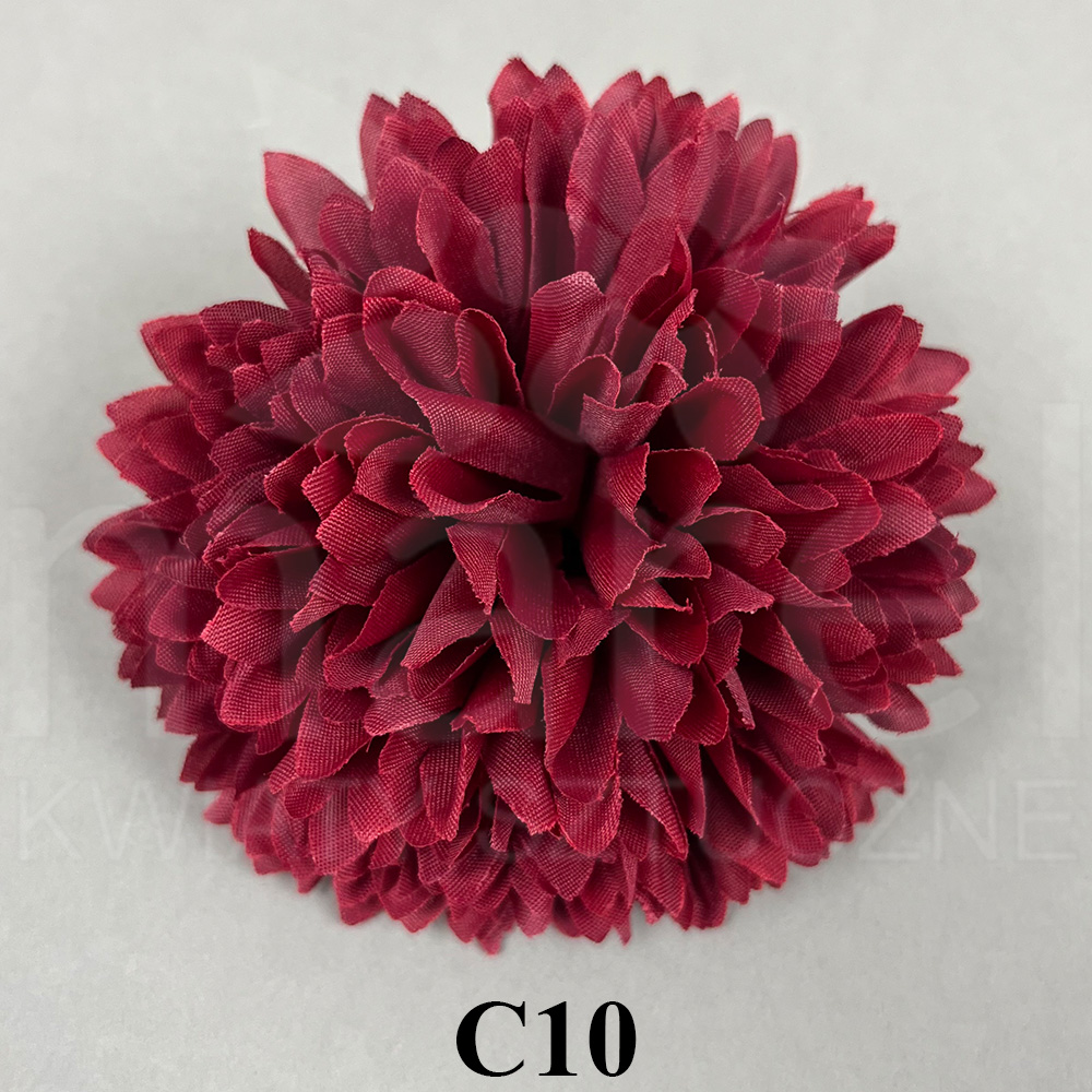 C10.jpg