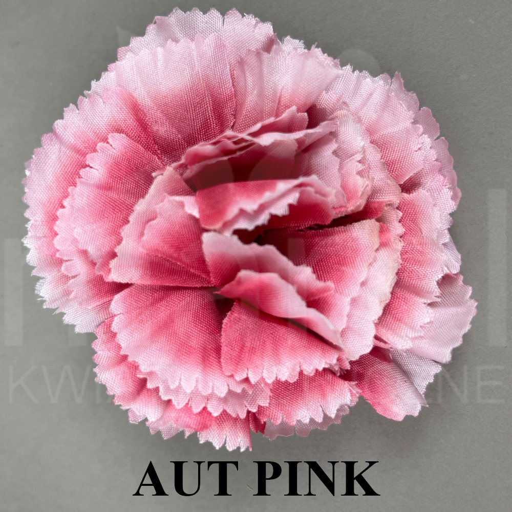 AUT PINK.jpg