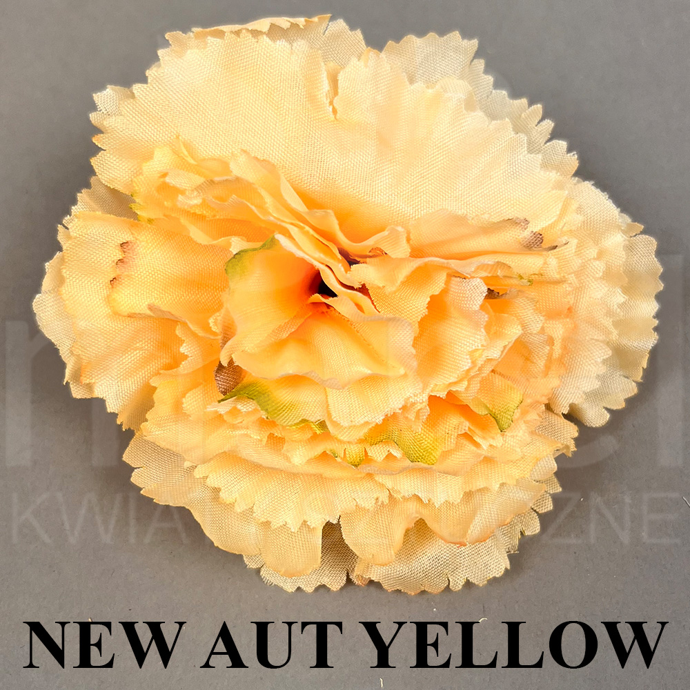 NEW AUT YELLOW.jpg