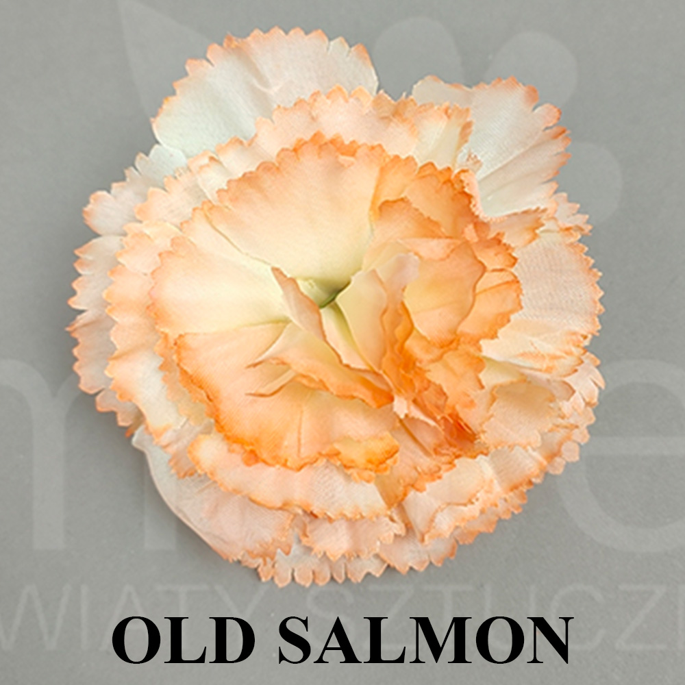 OLD SALMON.jpg