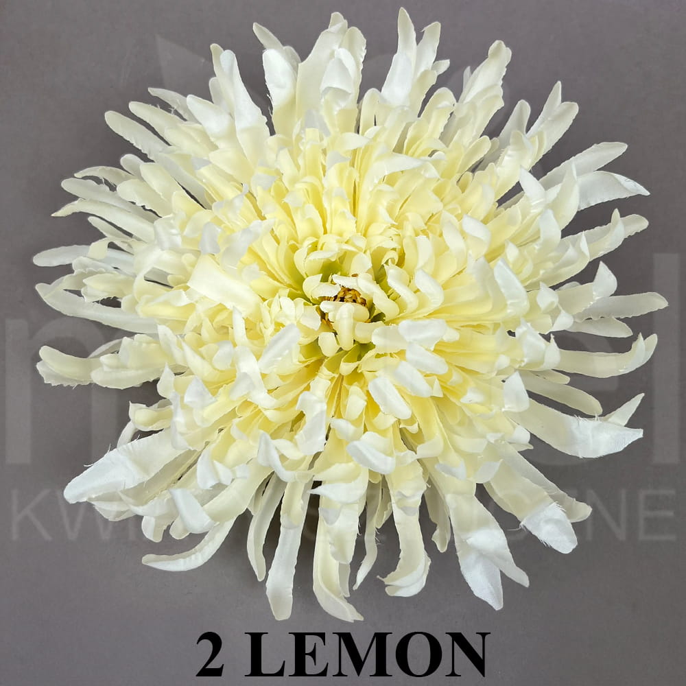 2 LEMON.jpg