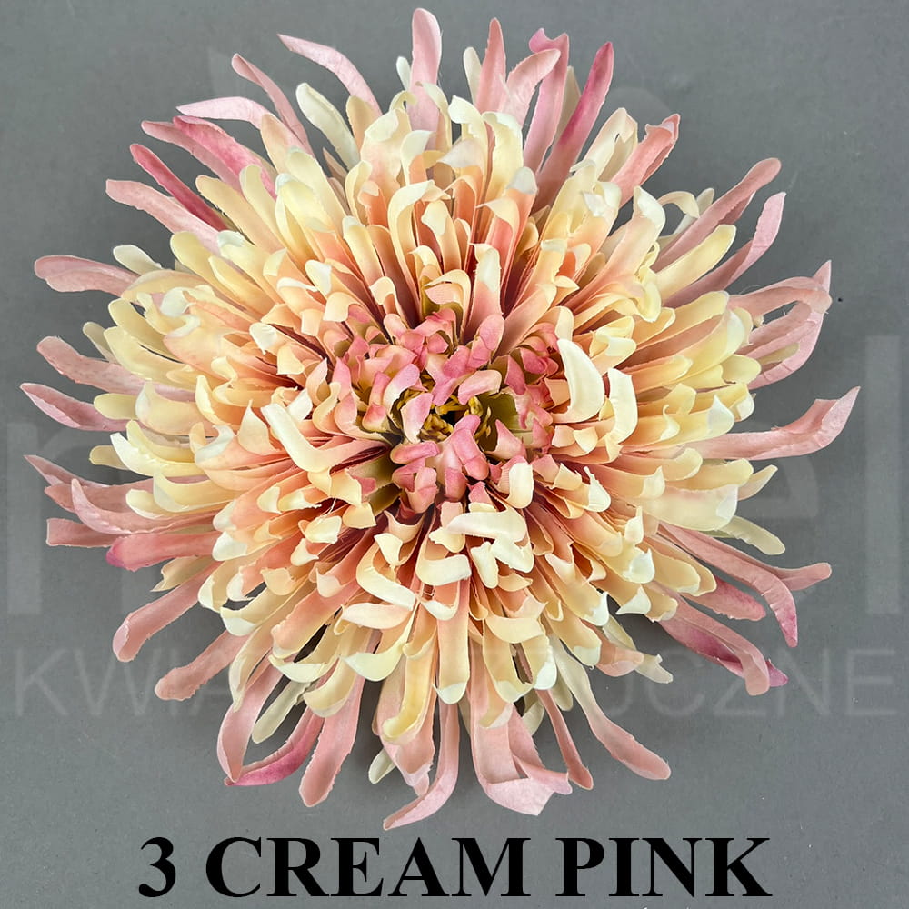 3 CREAM PINK.jpg