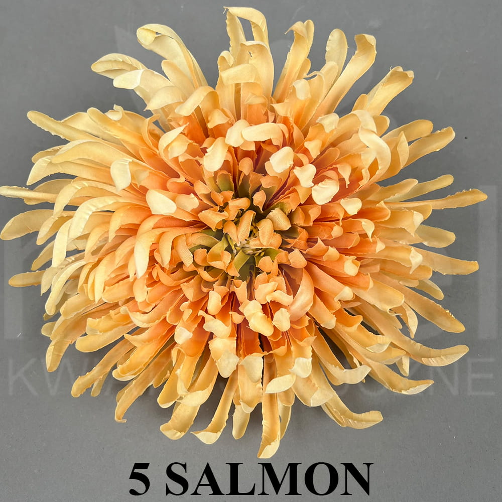 5 SALMON.jpg