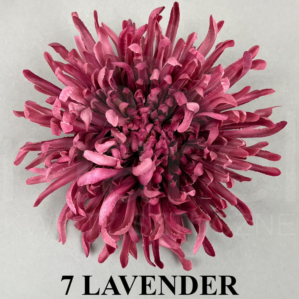 7 LAVENDER.jpg