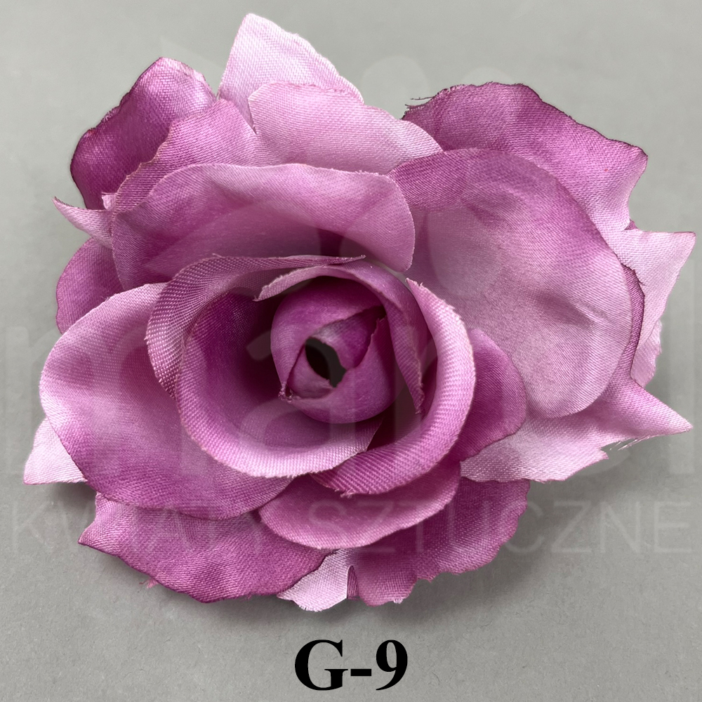 G-9.jpg