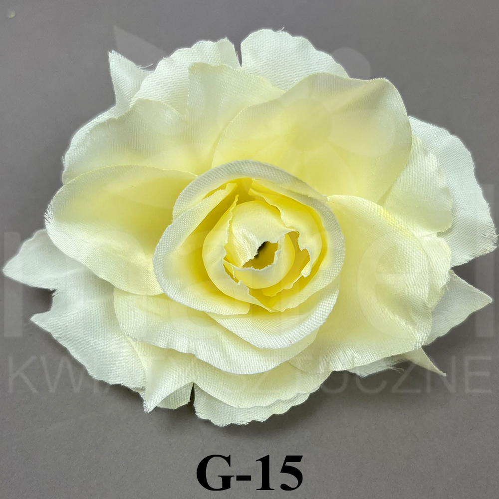 G-15.jpg