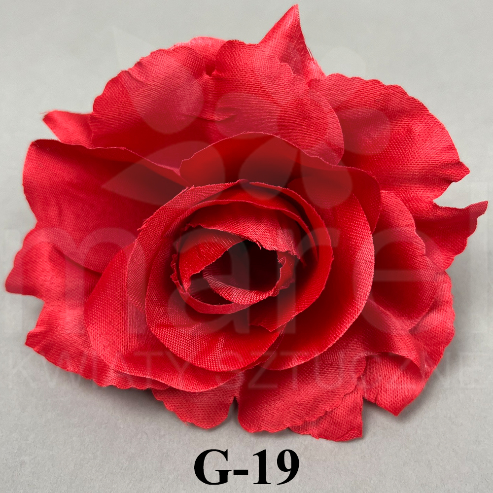 G-19.jpg