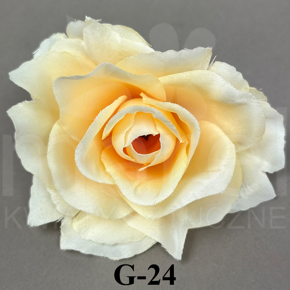 G-24.jpg