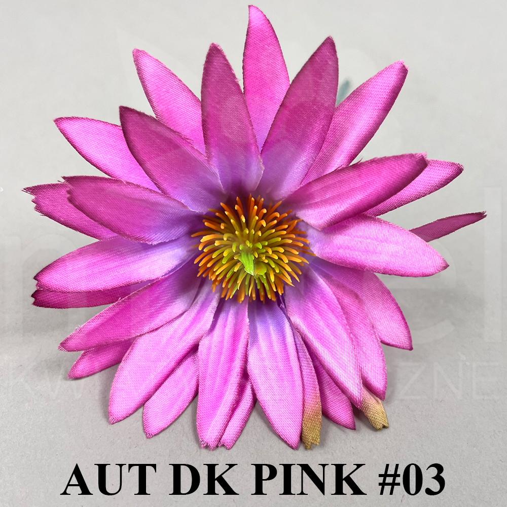 AUT DK PINK #03.jpg
