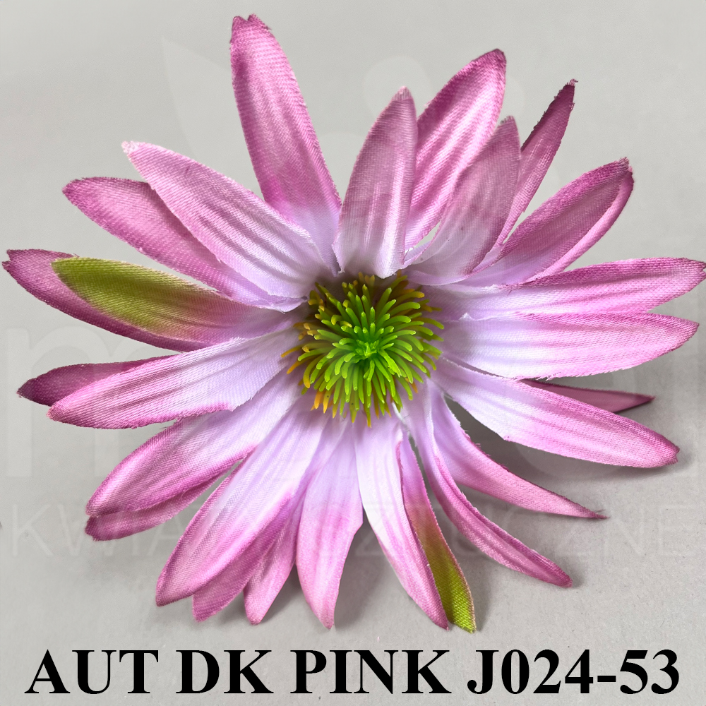 AUT DK PINK J024-53.jpg