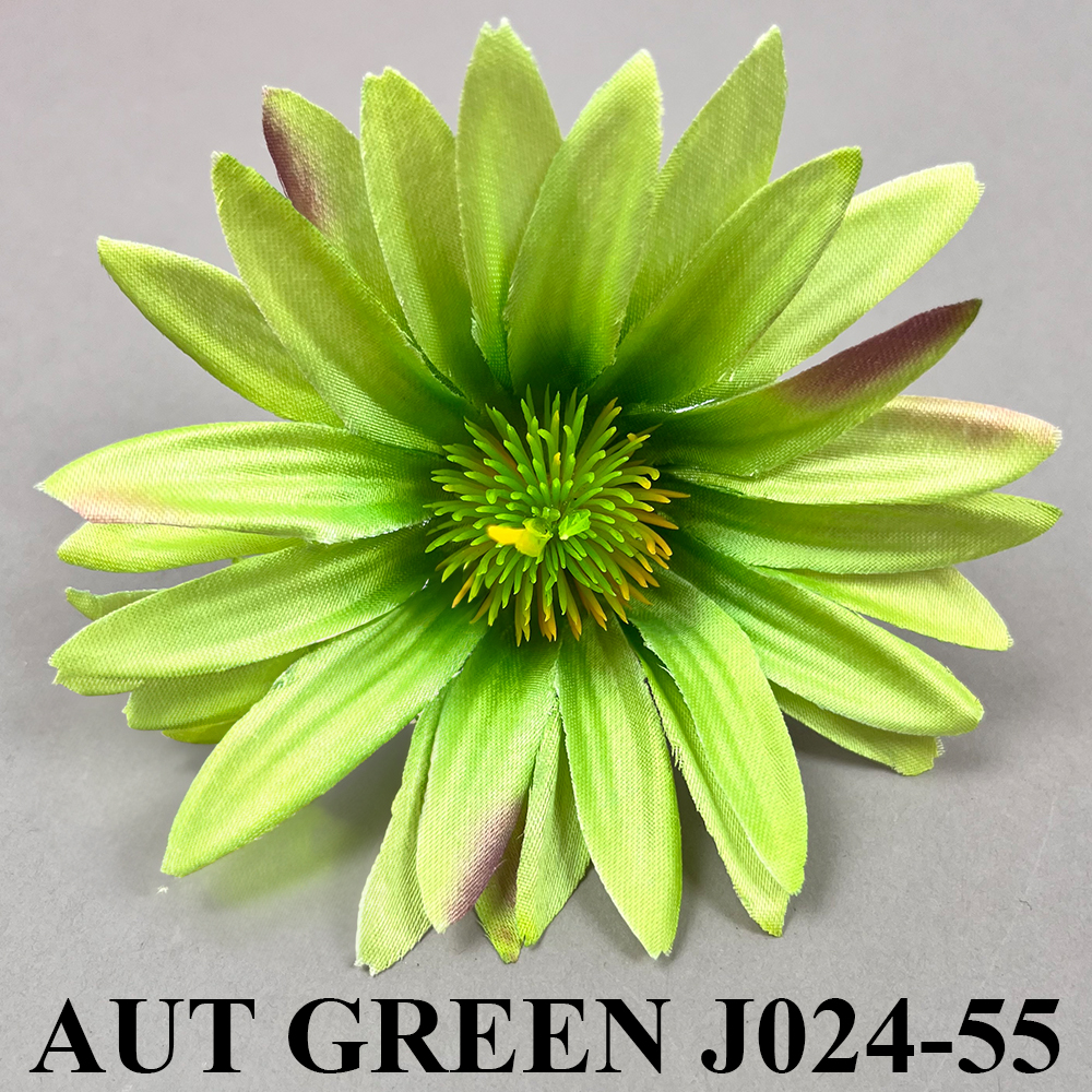 AUT GREEN J024-55.jpg