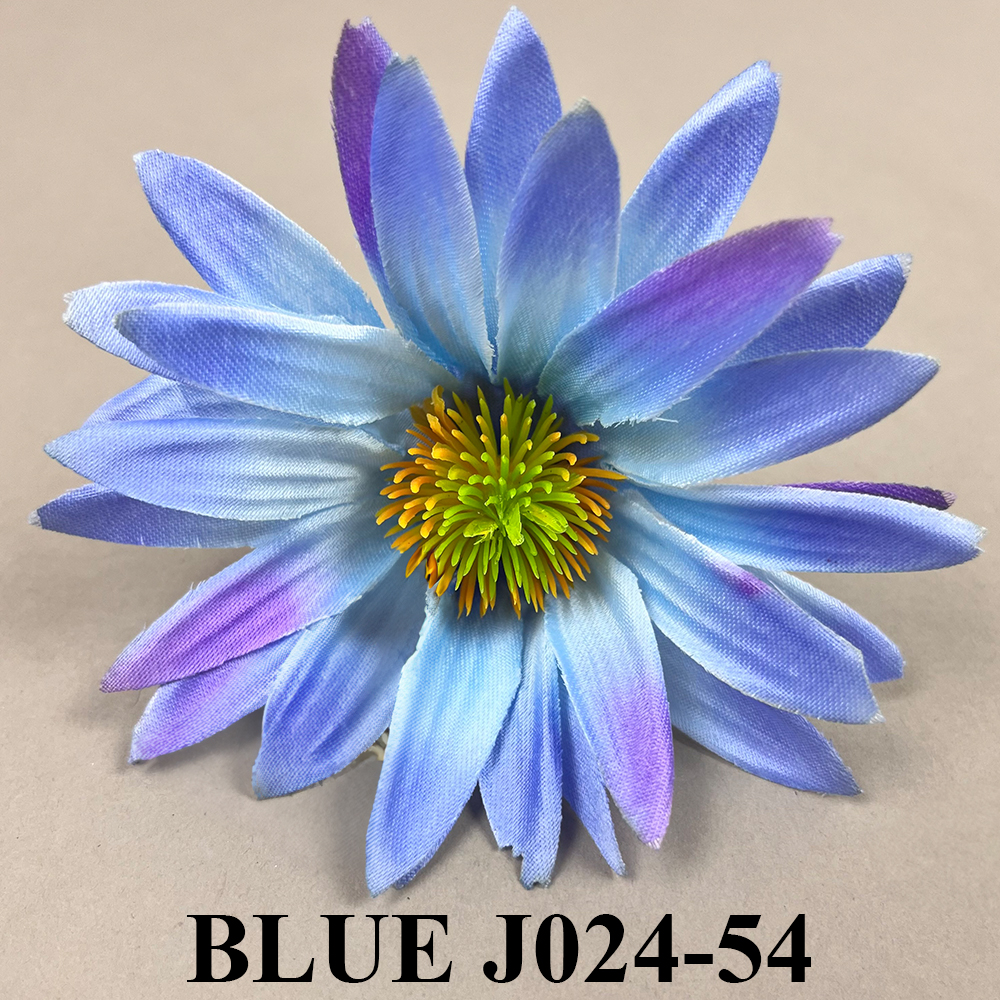 BLUE J024-54.jpg