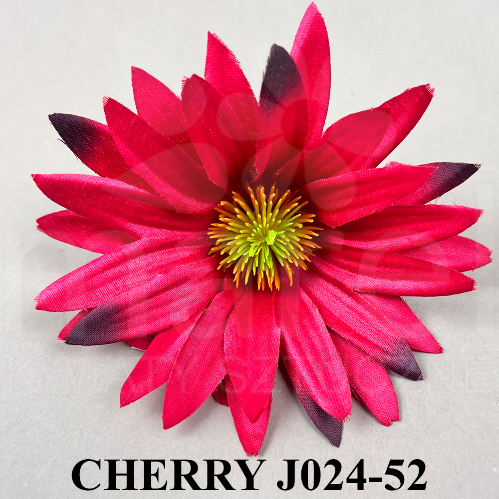 CHERRY J024-52.jpg