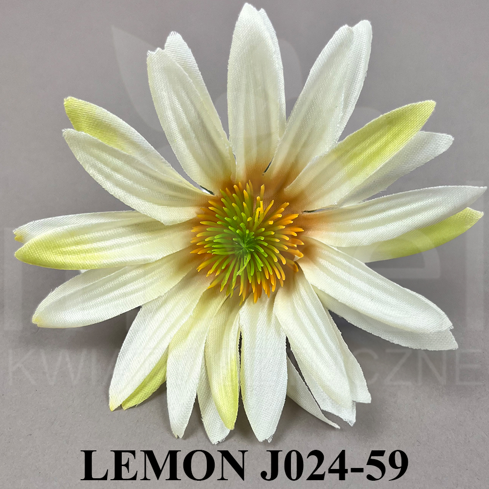LEMON J024-59.jpg