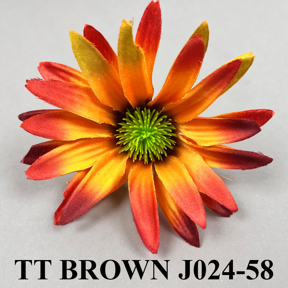 TT BROWN J024-58.jpg