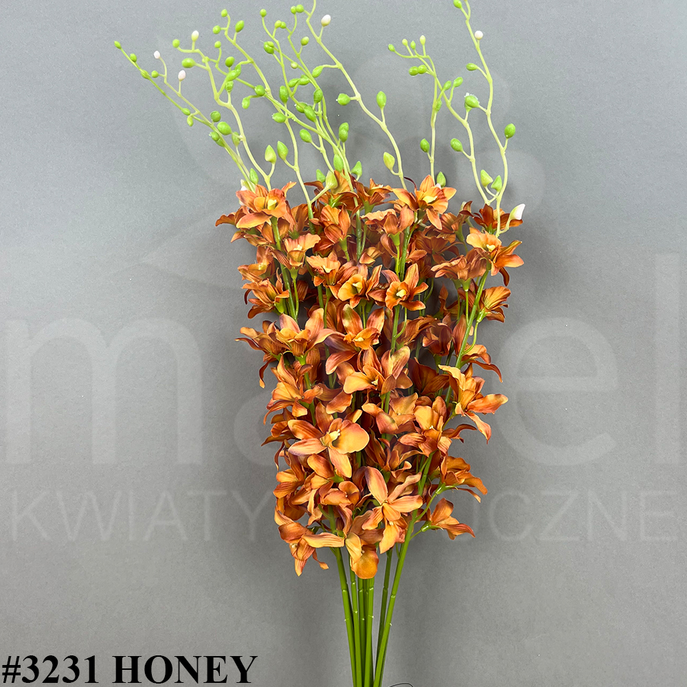 #3231 HONEY.jpg