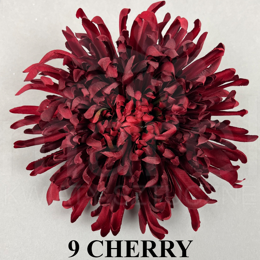 9 CHERRY.jpg