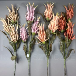 Protea FB0102 MIX