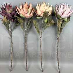 Protea FB0101 MIX