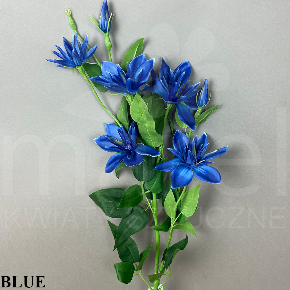 BLUE.jpg