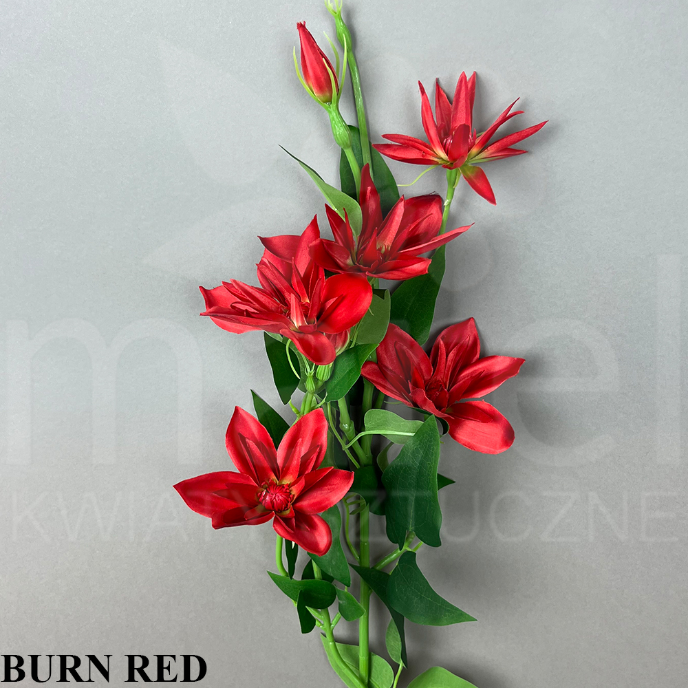BURN RED.jpg