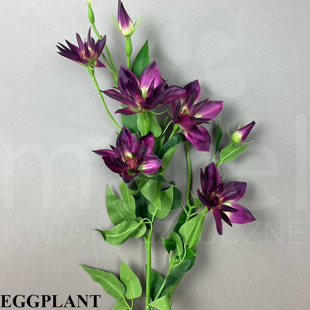 EGGPLANT.jpg