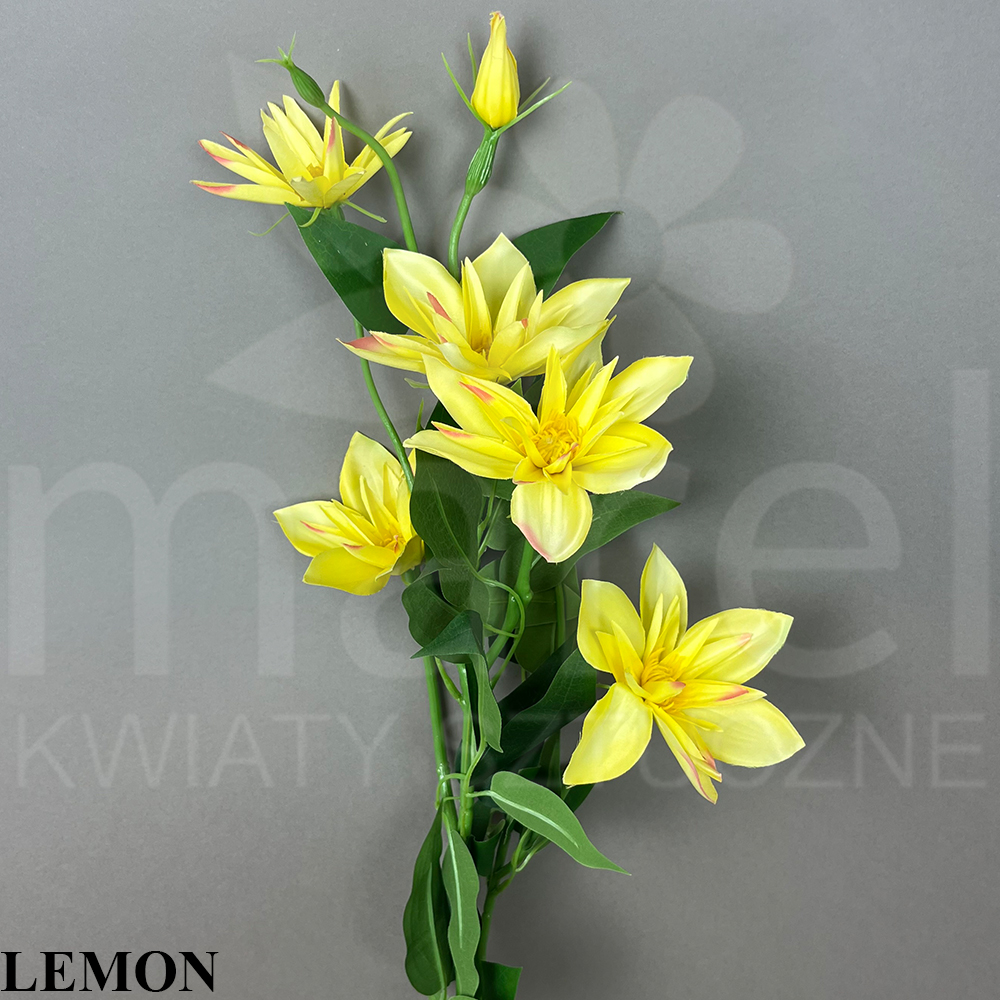 LEMON.jpg