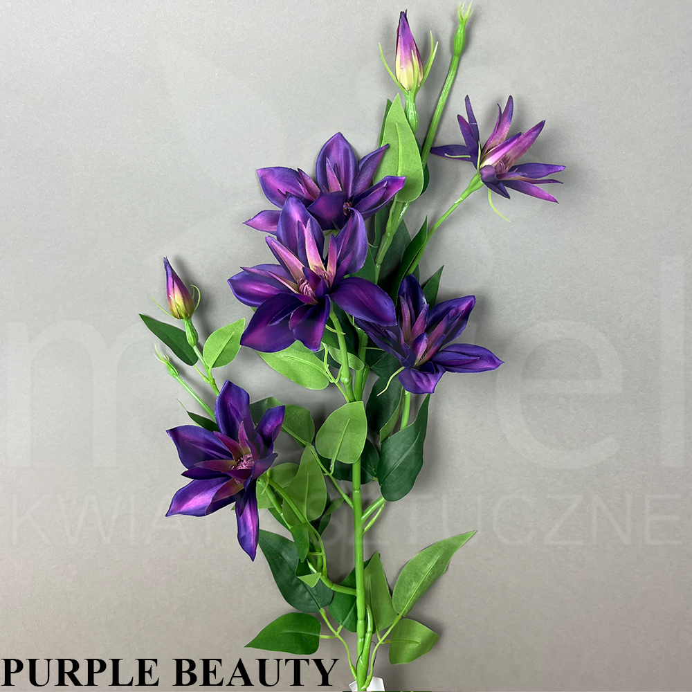 PURPLE BEAUTY.jpg