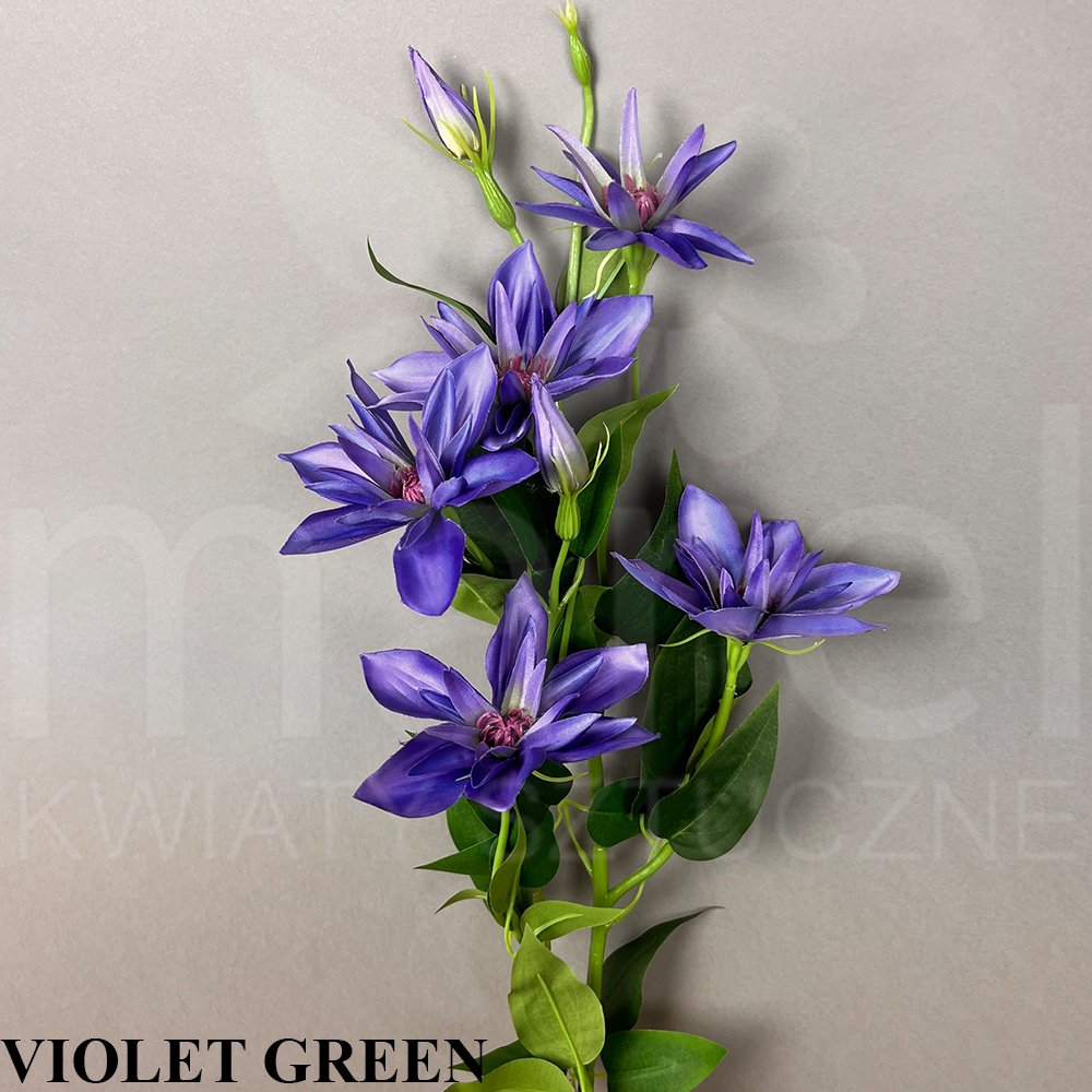 VIOLET GREEN.jpg