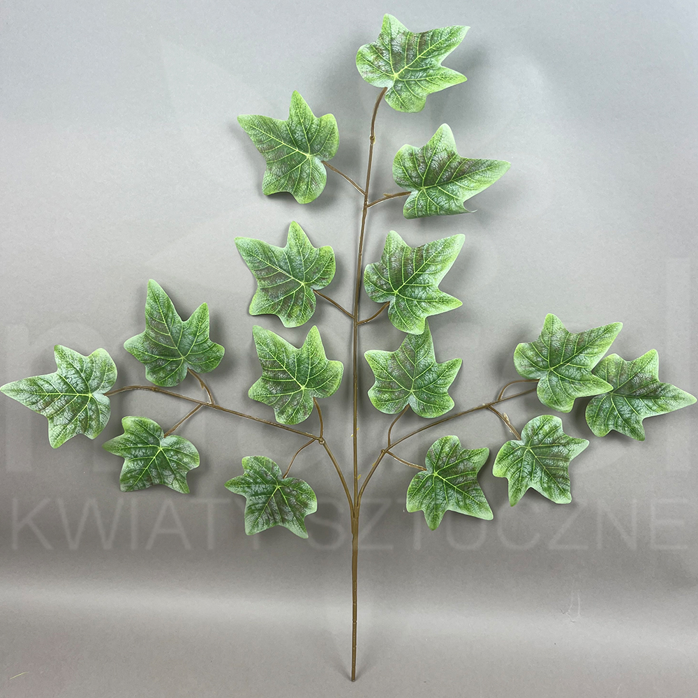 18-480D.jpg