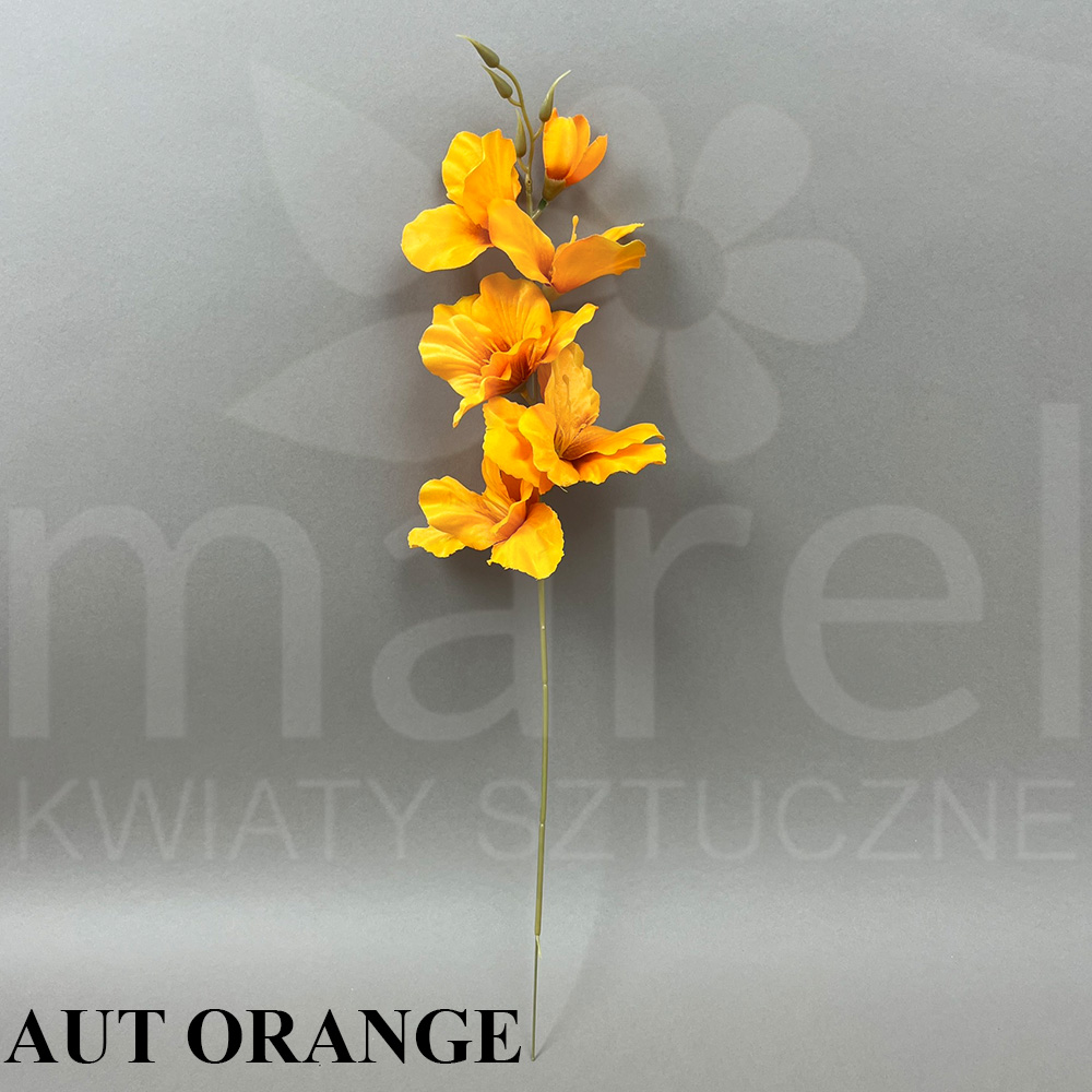 AUT ORANGE G04.jpg
