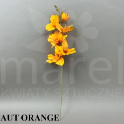 Mieczyk L004