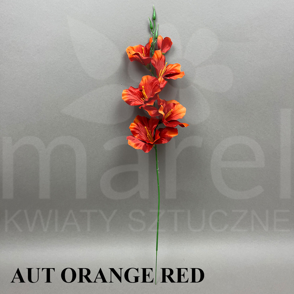AUT ORANGE RED.jpg