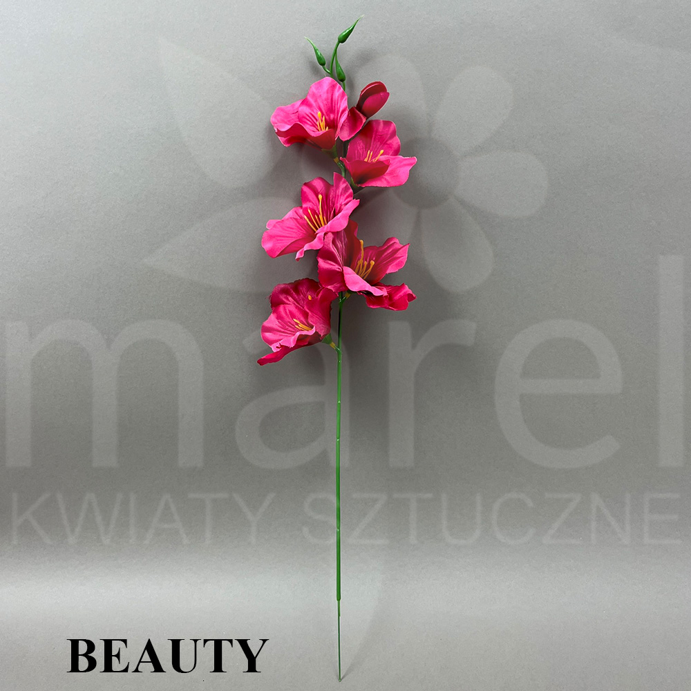 BEAUTY C5133.jpg