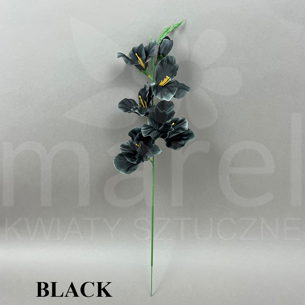 BLACK G72.jpg