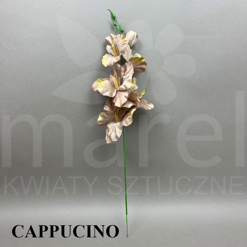CAPPUCINO.jpg