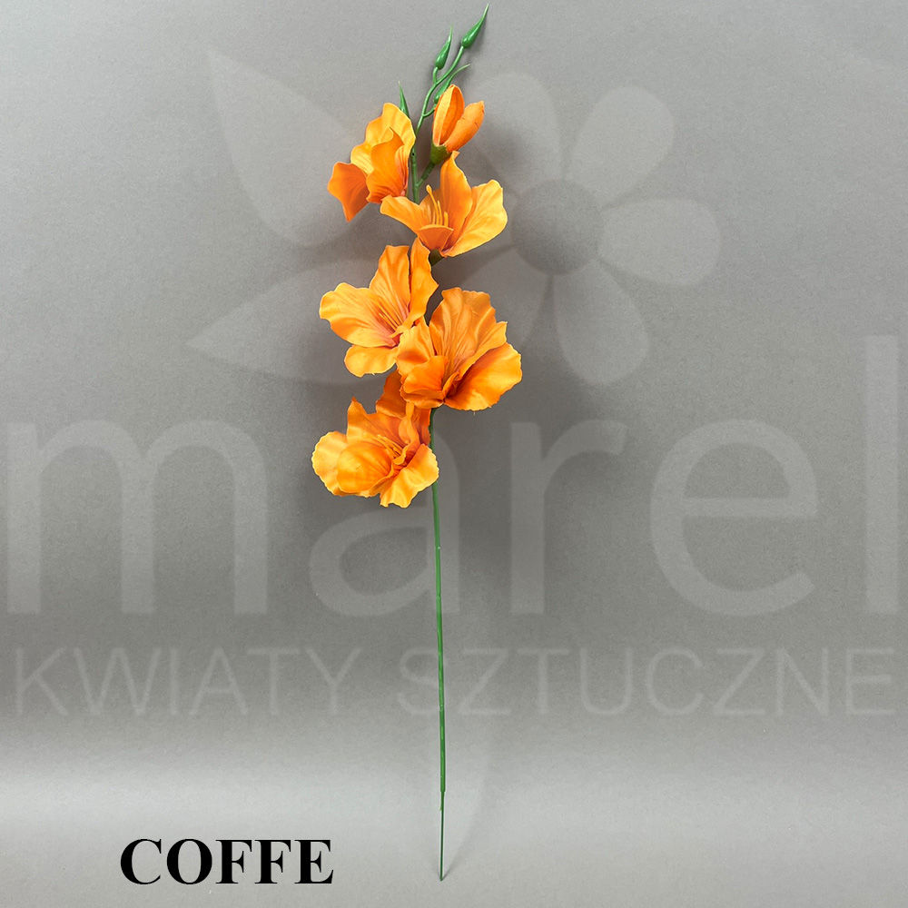 COFFE #12.jpg