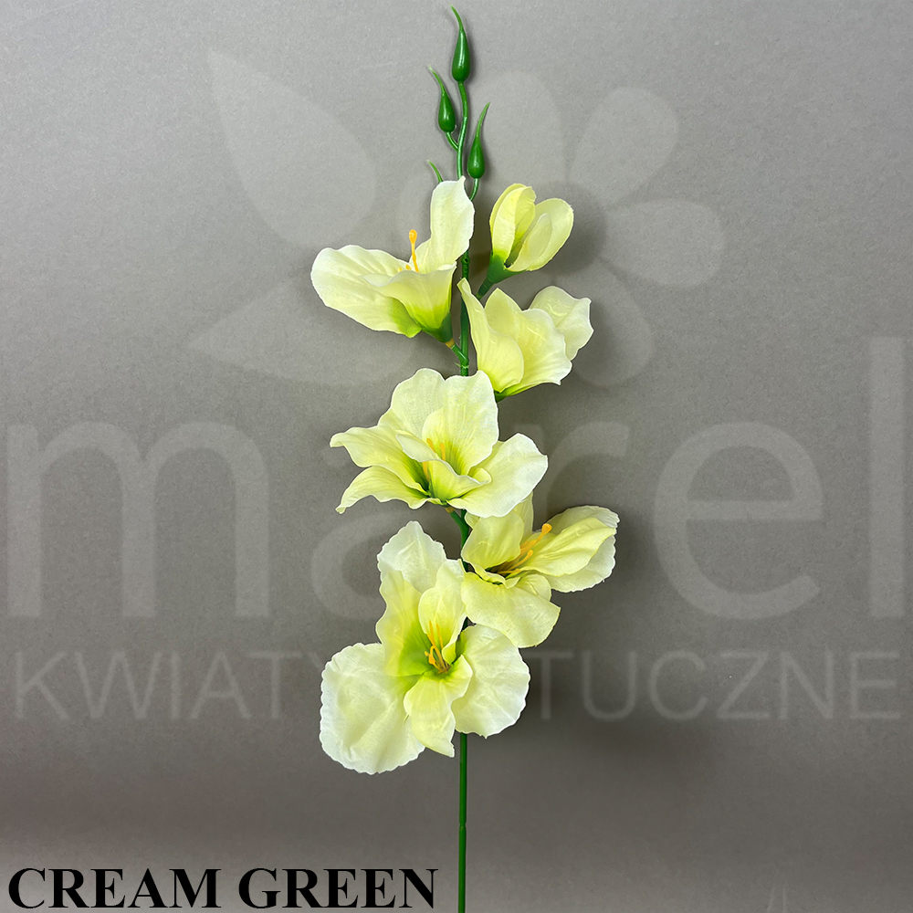 CREAM GREEN.jpg