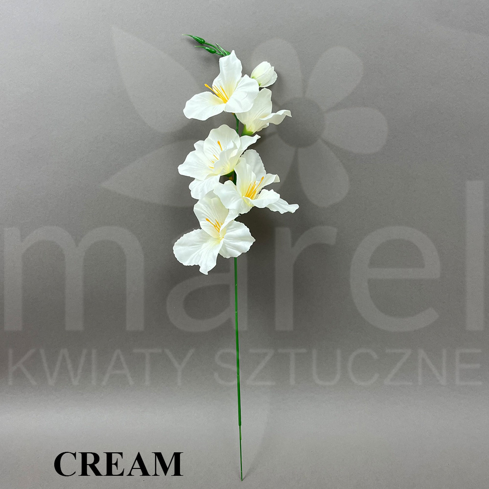 CREAM M-022.jpg